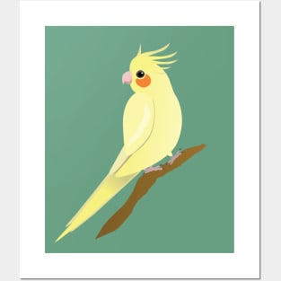 A yellow cockatiel perched on a branch Posters and Art